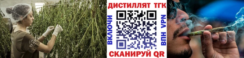 ТГК вейп  omg маркетплейс  Сосновоборск  продажа наркотиков 